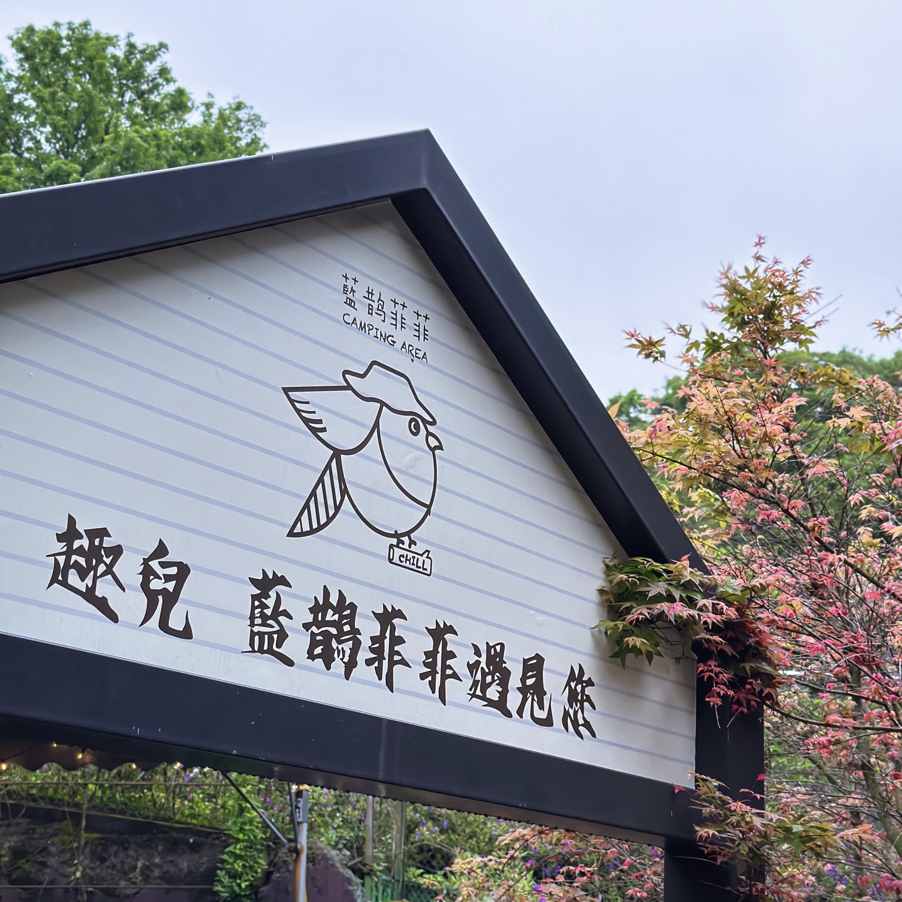 【台北露營】趣兒Chill：藍鵲菲菲《更名》蟬說: 暖硫｜陽