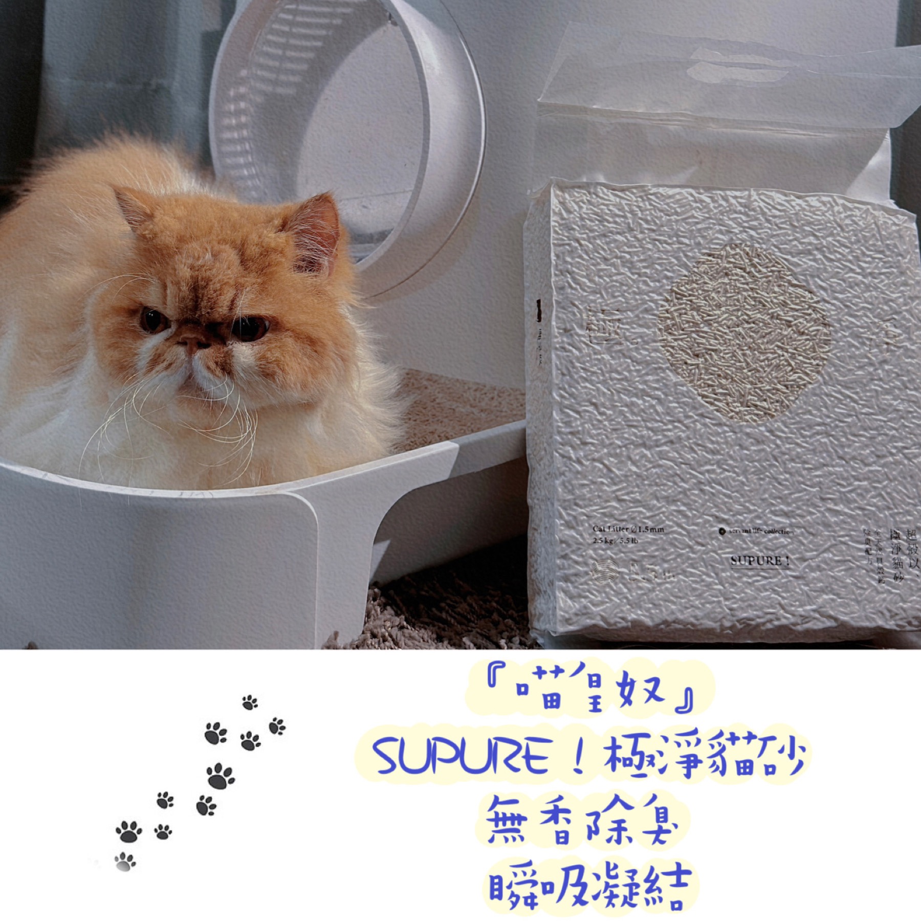 【寵物貓砂】喵皇奴SUPURE!極淨貓砂|天然除臭瞬吸凝結|